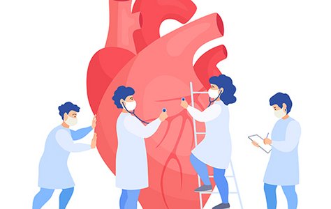 De zieke aortaklep: hoe deze kan worden behandeld
